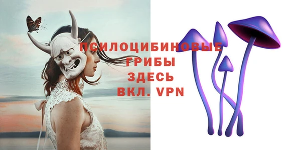 прущий лед Елабуга