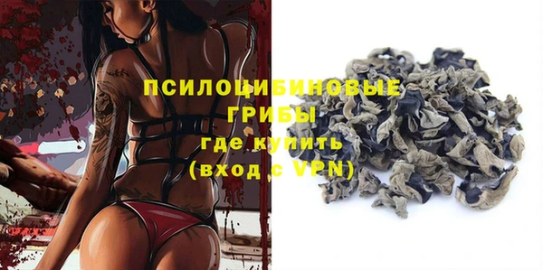 экстази Ельня