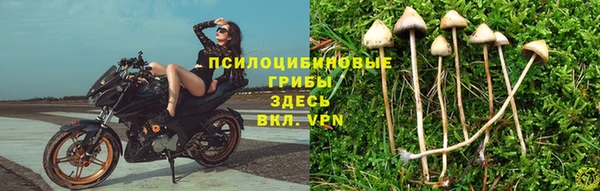 бошки Елизово