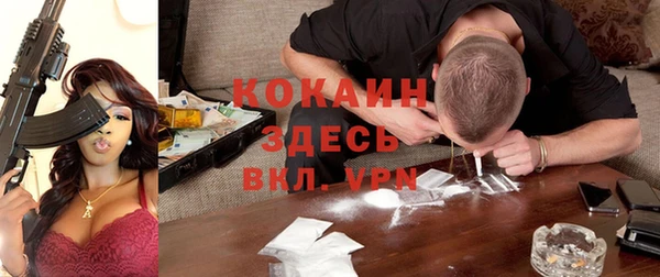 экстази Ельня